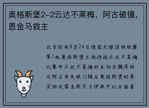 奥格斯堡2-2云达不莱梅，阿古破僵，恩金马救主